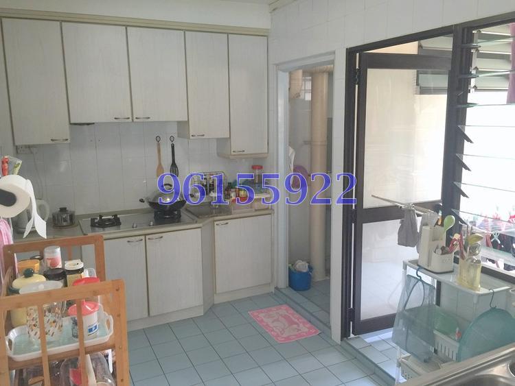 Senja Road thumbnail photo